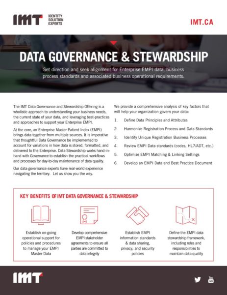 thumbnail of IMT-governance-stewardship